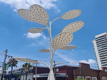 Arvore que gera energia